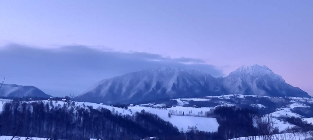 فيلا Poiana Măruluiفي Conacul Elenei المظهر الخارجي الصورة