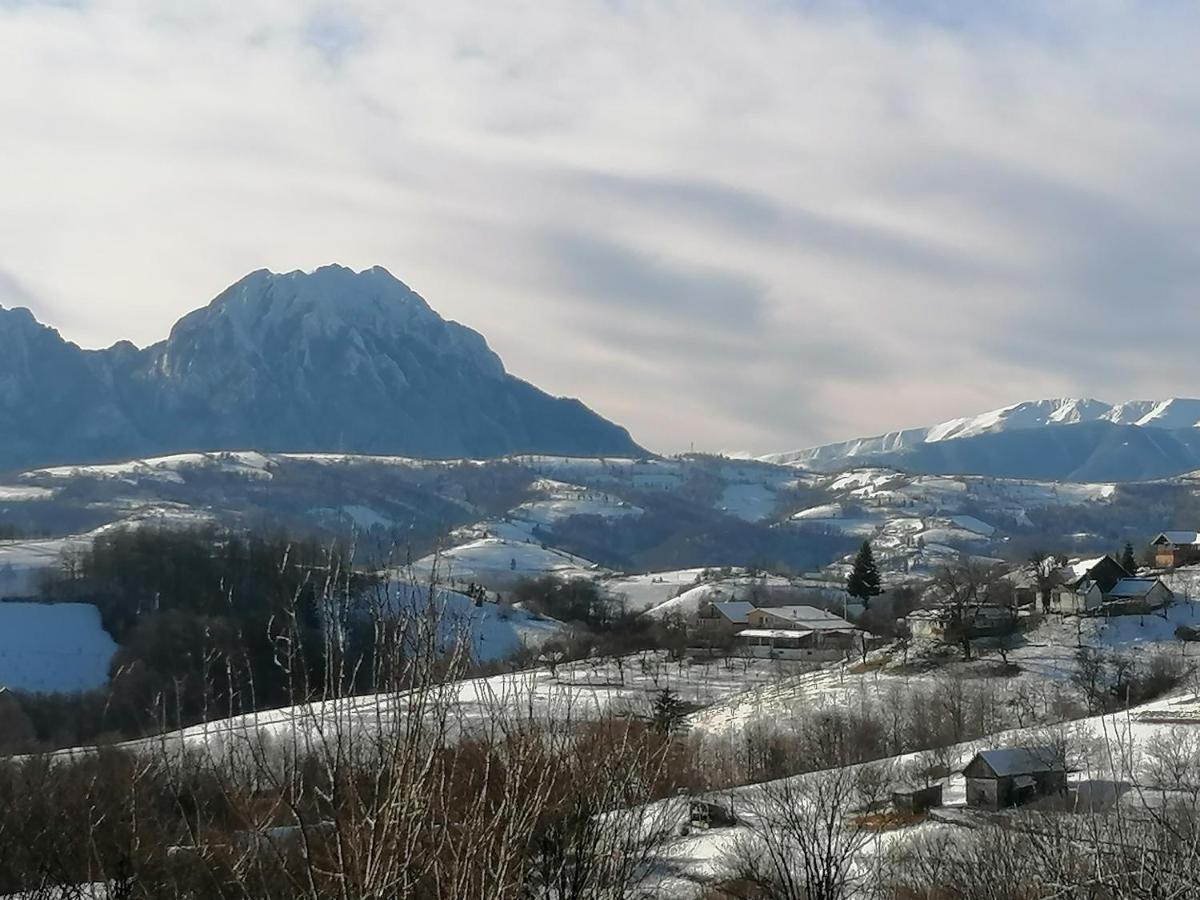 فيلا Poiana Măruluiفي Conacul Elenei المظهر الخارجي الصورة