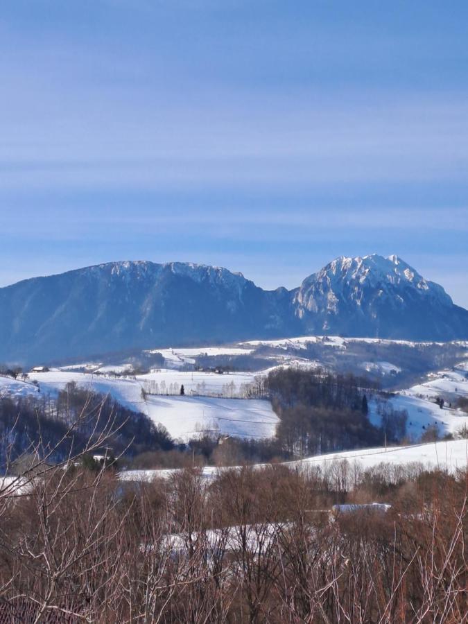 فيلا Poiana Măruluiفي Conacul Elenei المظهر الخارجي الصورة